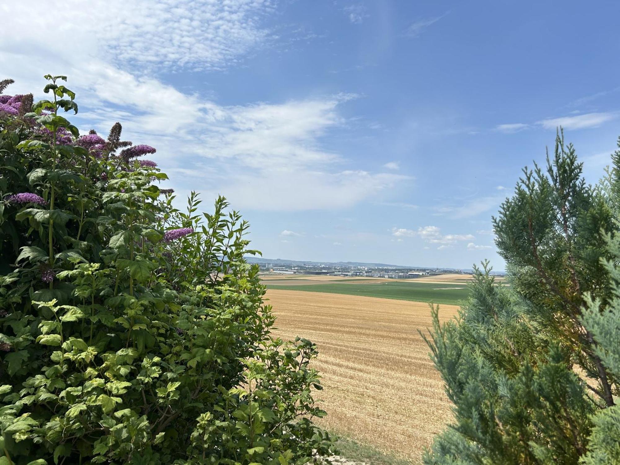 L'Intemporel Cernay-les-Reims Bagian luar foto