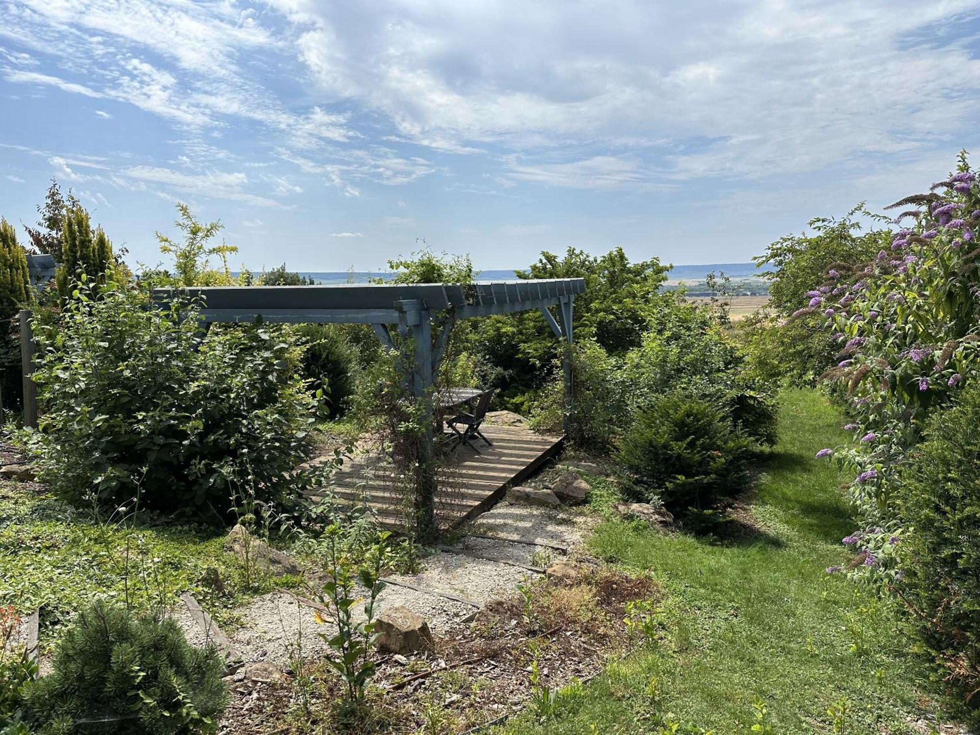 L'Intemporel Cernay-les-Reims Bagian luar foto